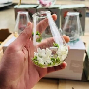 كاسة متة شفافة بلور موردة جودة عالية